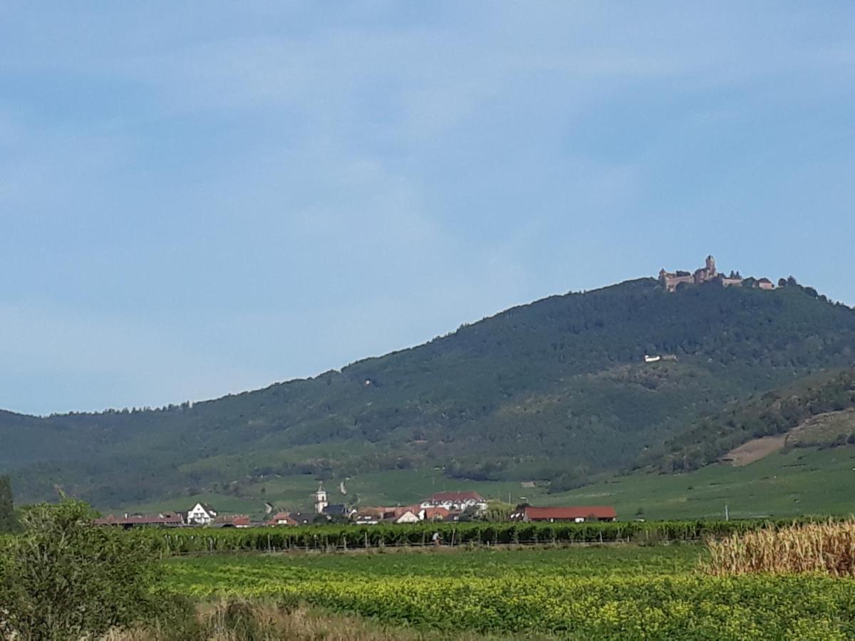 Gite Du Forgeron - 6 A 8 Personnes - Centre Alsace - Saint-Hippolyte エクステリア 写真